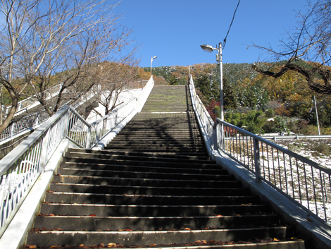 20161125hike (8)